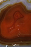 20389 -  Extremely Beautiful 5.36 Inch Brazilian Agate Slice (Chalcedony Geode Section)