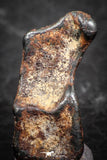 07446 - Taza (NWA 859) Iron Ungrouped Plessitic Octahedrite Meteorite 1.5g ORIENTED