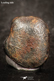 07447 - Taza (NWA 859) Iron Ungrouped Plessitic Octahedrite Meteorite 1.5g ORIENTED