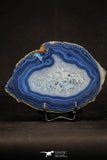 20391 -  Extremely Beautiful 5.88 Inch Brazilian Agate Slice (Chalcedony Geode Section)