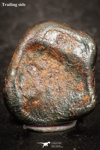07447 - Taza (NWA 859) Iron Ungrouped Plessitic Octahedrite Meteorite 1.5g ORIENTED
