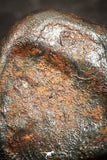 07447 - Taza (NWA 859) Iron Ungrouped Plessitic Octahedrite Meteorite 1.5g ORIENTED