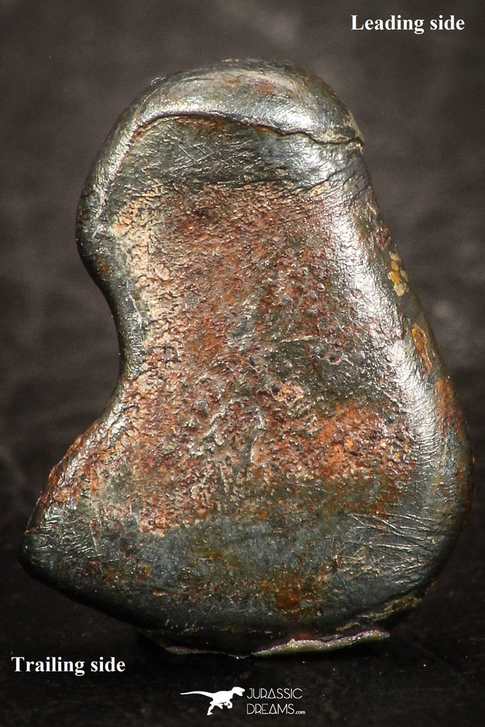 07448 - Taza (NWA 859) Iron Ungrouped Plessitic Octahedrite Meteorite 2.0g ORIENTED