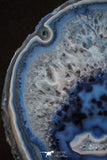 20393 -  Extremely Beautiful 4.79 Inch Brazilian Agate Slice (Chalcedony Geode Section)
