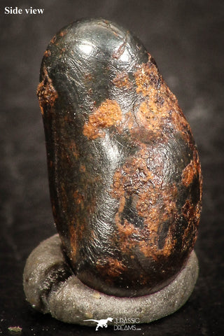 07449 - Taza (NWA 859) Iron Ungrouped Plessitic Octahedrite Meteorite 2.0g ORIENTED