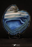 20394 -  Extremely Beautiful 5.18 Inch Brazilian Agate Slice (Chalcedony Geode Section)
