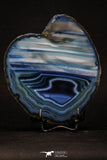 20394 -  Extremely Beautiful 5.18 Inch Brazilian Agate Slice (Chalcedony Geode Section)