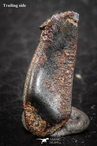 07451 - Taza (NWA 859) Iron Ungrouped Plessitic Octahedrite Meteorite 0.7g ORIENTED