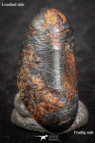 07452 - Taza (NWA 859) Iron Ungrouped Plessitic Octahedrite Meteorite 2.0g ORIENTED