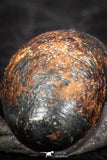 07452 - Taza (NWA 859) Iron Ungrouped Plessitic Octahedrite Meteorite 2.0g ORIENTED