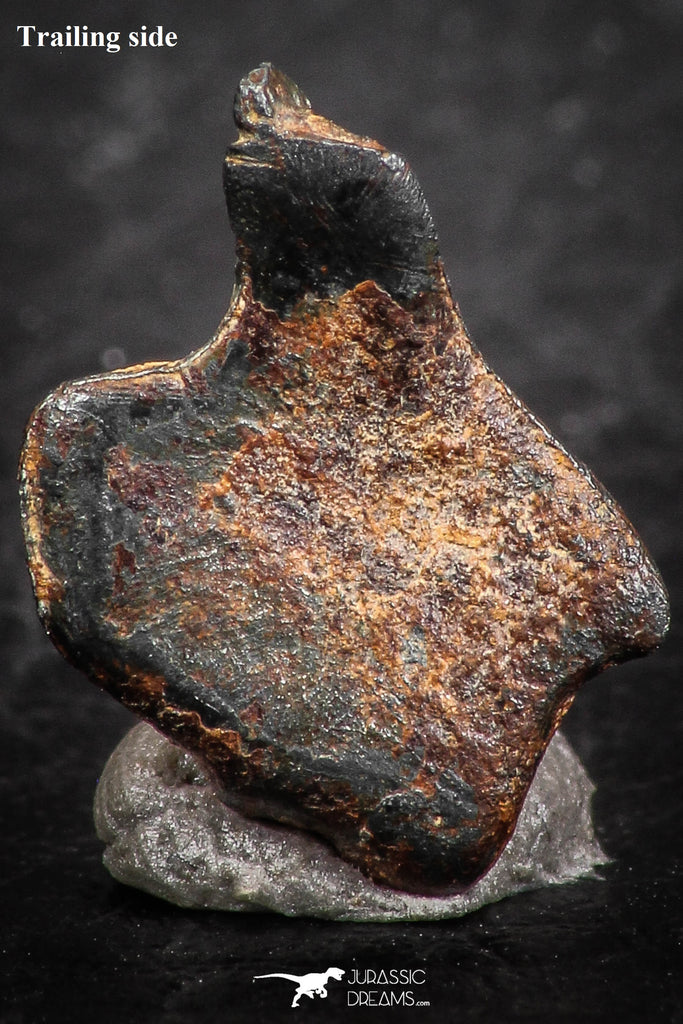 07453 - Taza (NWA 859) Iron Ungrouped Plessitic Octahedrite Meteorite 1.0g ORIENTED