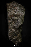 21467 - Unclassified Chondrite Meteorite 15.2g Polished Section