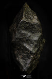21467 - Unclassified Chondrite Meteorite 15.2g Polished Section