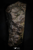 21467 - Unclassified Chondrite Meteorite 15.2g Polished Section