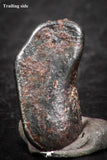 07454 - Taza (NWA 859) Iron Ungrouped Plessitic Octahedrite Meteorite 0.7g ORIENTED