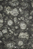 21468 - Top Rare NWA Carbonaceous Chondrite CM2 2.7g Polished Section