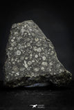 21468 - Top Rare NWA Carbonaceous Chondrite CM2 2.7g Polished Section