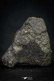 21468 - Top Rare NWA Carbonaceous Chondrite CM2 2.7g Polished Section