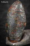 07455 - Taza (NWA 859) Iron Ungrouped Plessitic Octahedrite Meteorite 0.8g ORIENTED