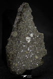 21471 - NWA Unclassified Chondrite Meteorite H Type 26.2g Polished Section