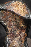07457 - Taza (NWA 859) Iron Ungrouped Plessitic Octahedrite Meteorite 1.0g ORIENTED