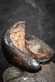 07457 - Taza (NWA 859) Iron Ungrouped Plessitic Octahedrite Meteorite 1.0g ORIENTED