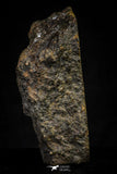21472 - Top Rare NWA Unclassified Chondrite Meteorite L4 Type 32.3g Polished Section