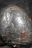 07458 - Taza (NWA 859) Iron Ungrouped Plessitic Octahedrite Meteorite 1.4g ORIENTED