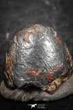 07458 - Taza (NWA 859) Iron Ungrouped Plessitic Octahedrite Meteorite 1.4g ORIENTED