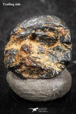 07458 - Taza (NWA 859) Iron Ungrouped Plessitic Octahedrite Meteorite 1.4g ORIENTED