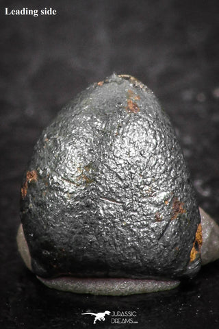 07459 - Taza (NWA 859) Iron Ungrouped Plessitic Octahedrite Meteorite 0.8g ORIENTED