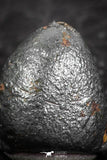 07459 - Taza (NWA 859) Iron Ungrouped Plessitic Octahedrite Meteorite 0.8g ORIENTED