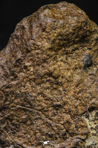 21474 - NWA Unclassified Chondrite Meteorite L Type 48.6g Polished Section