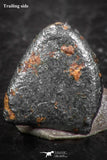 07459 - Taza (NWA 859) Iron Ungrouped Plessitic Octahedrite Meteorite 0.8g ORIENTED