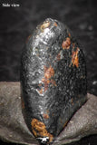 07459 - Taza (NWA 859) Iron Ungrouped Plessitic Octahedrite Meteorite 0.8g ORIENTED