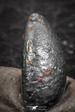 07459 - Taza (NWA 859) Iron Ungrouped Plessitic Octahedrite Meteorite 0.8g ORIENTED