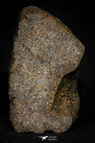21478 - NWA Unclassified Chondrite Meteorite 26.1g Polished Section