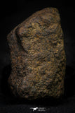 21478 - NWA Unclassified Chondrite Meteorite 26.1g Polished Section