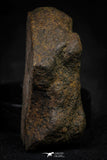 21478 - NWA Unclassified Chondrite Meteorite 26.1g Polished Section