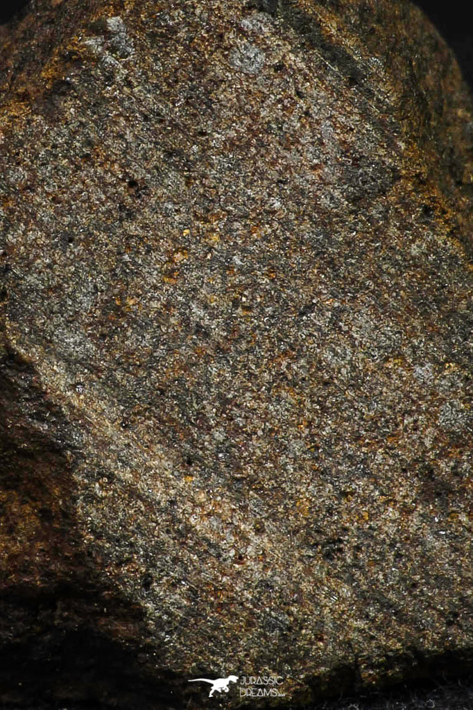 21480 - NWA Unclassified Chondrite Meteorite 17.1g Polished Section