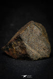 21480 - NWA Unclassified Chondrite Meteorite 17.1g Polished Section
