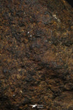 21480 - NWA Unclassified Chondrite Meteorite 17.1g Polished Section