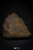 21480 - NWA Unclassified Chondrite Meteorite 17.1g Polished Section