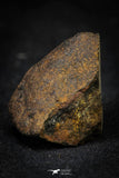21480 - NWA Unclassified Chondrite Meteorite 17.1g Polished Section
