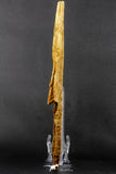 07039 - Museum Grade 11.02 Inch Alanqa saharica Cretaceous Azhdarchid Pterosaur Dentary Bone