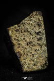 21481 - NWA Unclassified Chondrite Meteorite L Type 10.4g Polished Section With Partial Fusion Crust