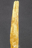 07039 - Museum Grade 11.02 Inch Alanqa saharica Cretaceous Azhdarchid Pterosaur Dentary Bone