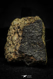 21481 - NWA Unclassified Chondrite Meteorite L Type 10.4g Polished Section With Partial Fusion Crust