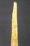 07039 - Museum Grade 11.02 Inch Alanqa saharica Cretaceous Azhdarchid Pterosaur Dentary Bone