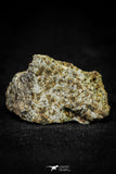 21482 - NWA Unclassified Chondrite Meteorite L Type 12.2g Polished Section